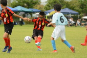 2020年8月29日に開催された第28回新潟県U-11サッカー大会中越地区県央ブロック予選の様子