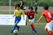 2021年9月23日に開催されたマルソーカップ第19回新潟県キッズサッカー大会県大会の様子