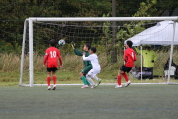 第47回全日本U-12サッカー選手権新潟県大会の様子