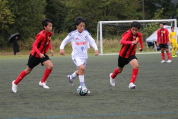 第47回全日本U-12サッカー選手権新潟県大会の様子